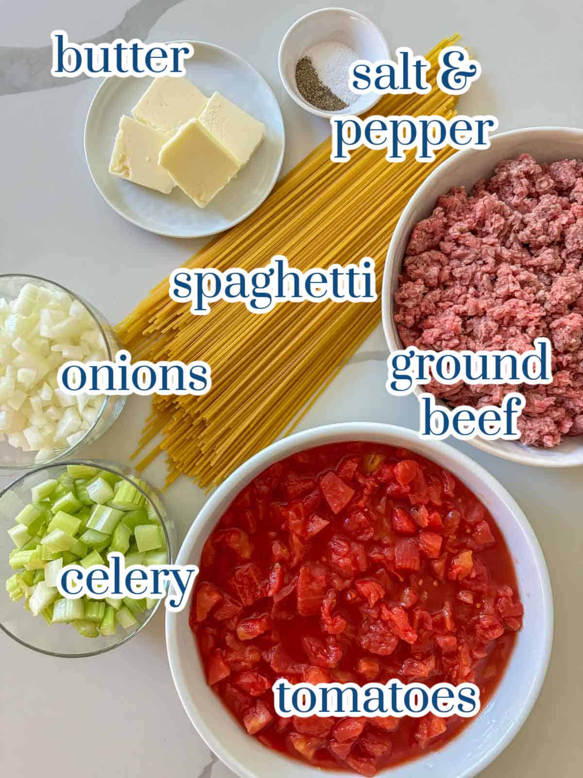 Individual Ingredients for German Spaghetti Recipe.