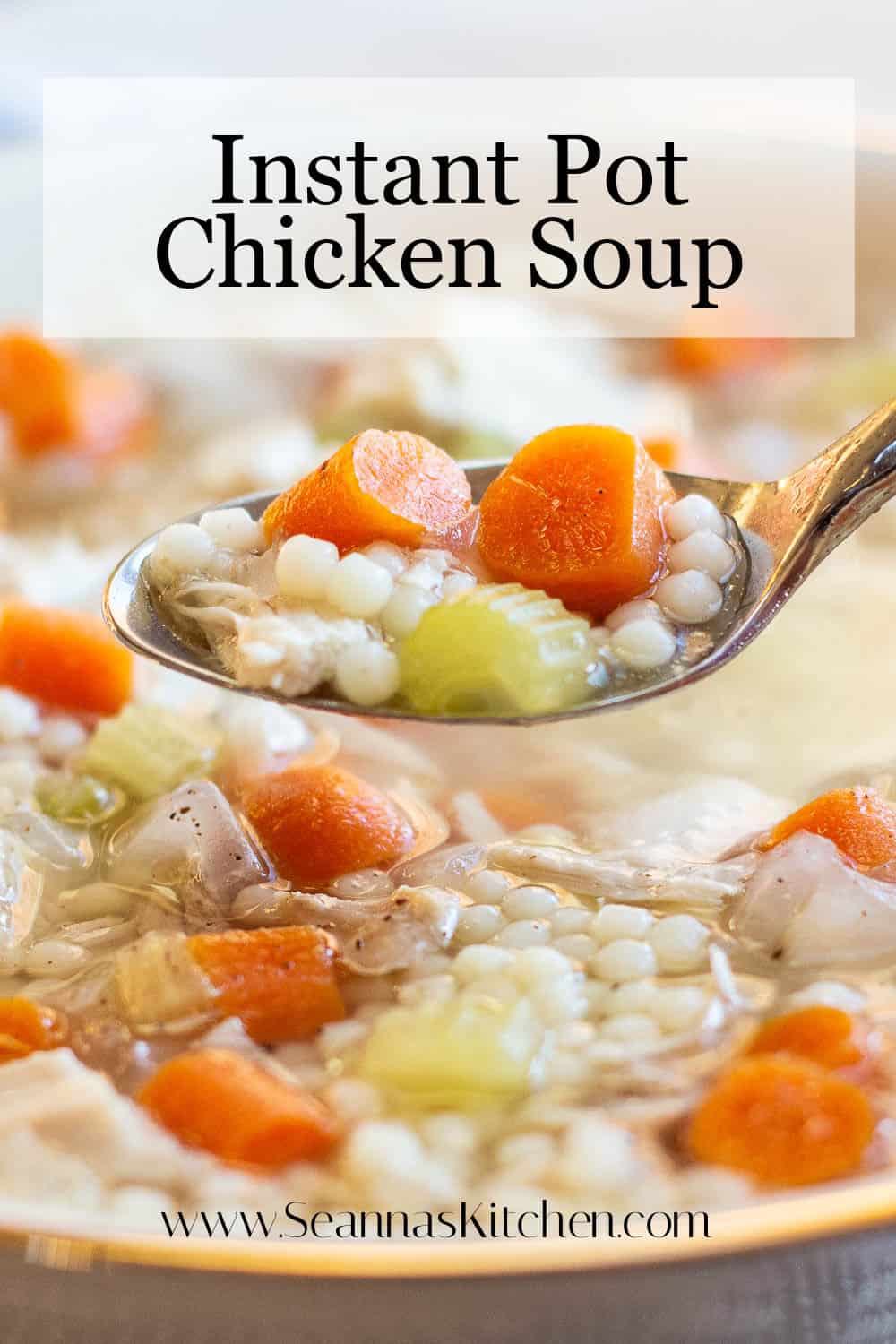 Instant Pot Chicken Soup (+Video) - Seanna's Kitchen