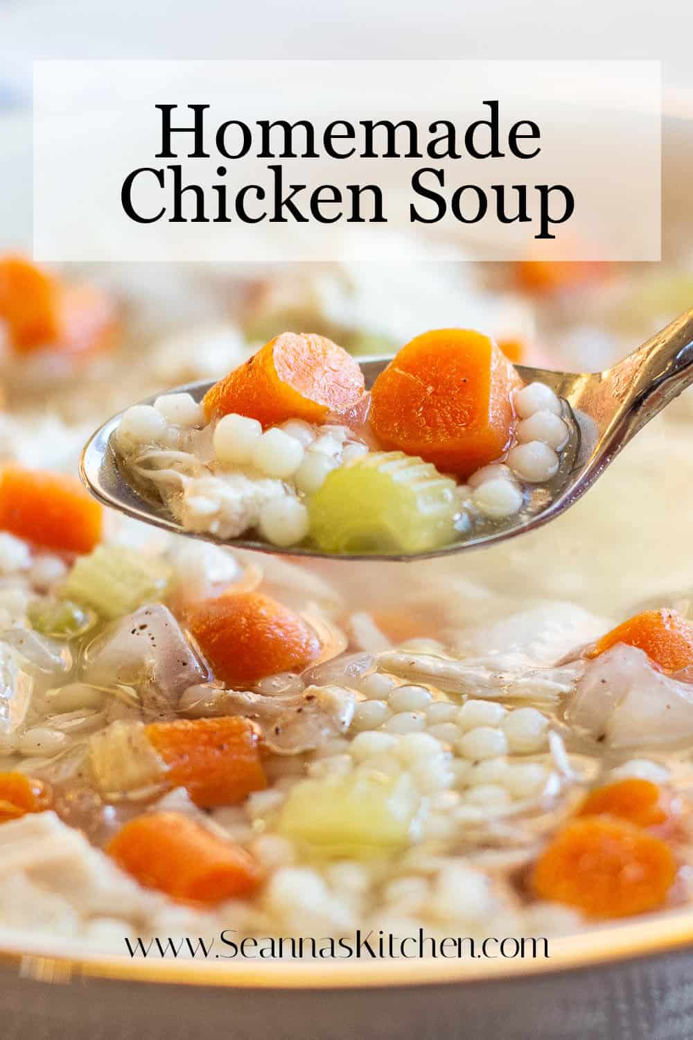 Homemade Chicken Soup Recipe - Seanna's Kitchen