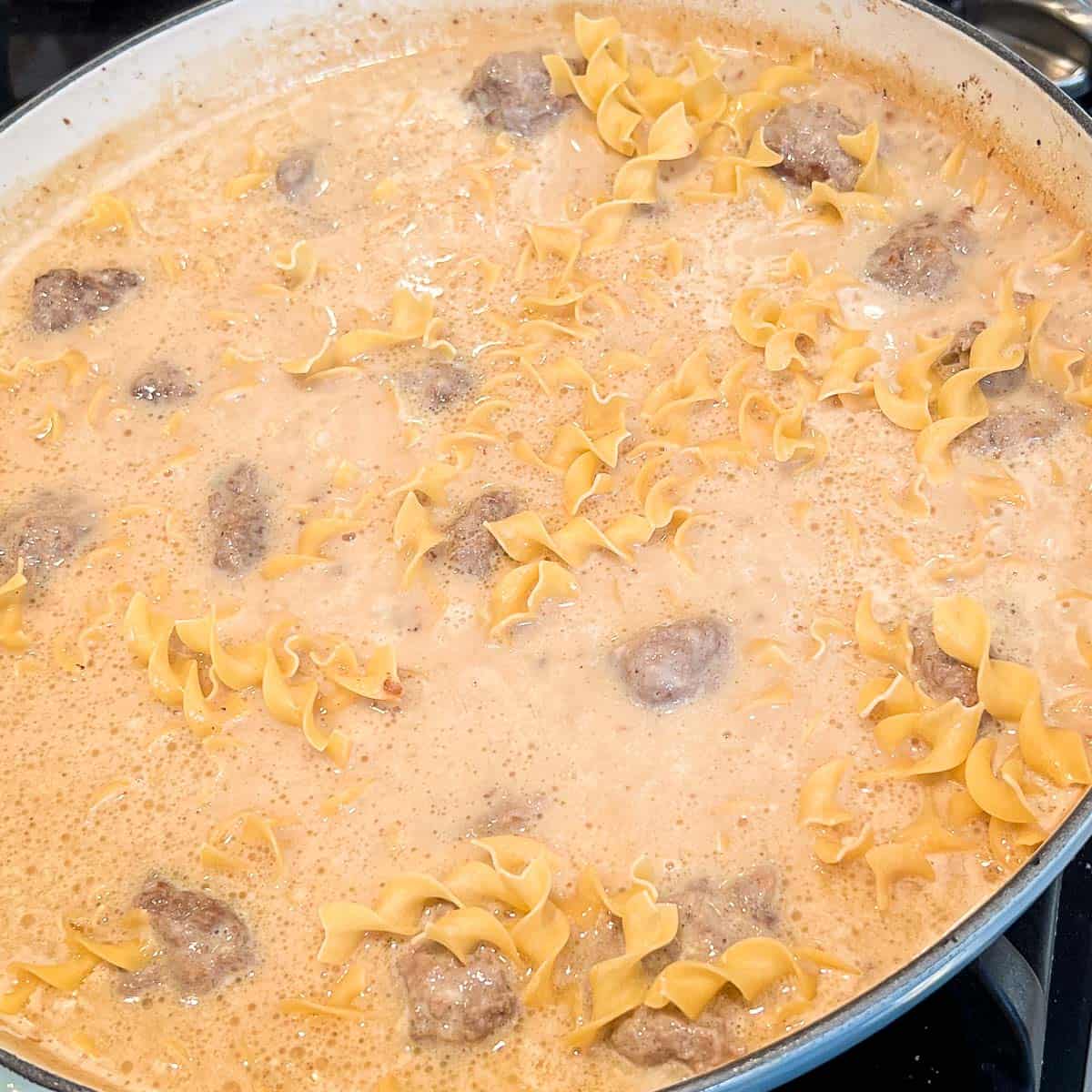 One Pot Swedish Meatballs and gravy with uncooked egg noodles added.