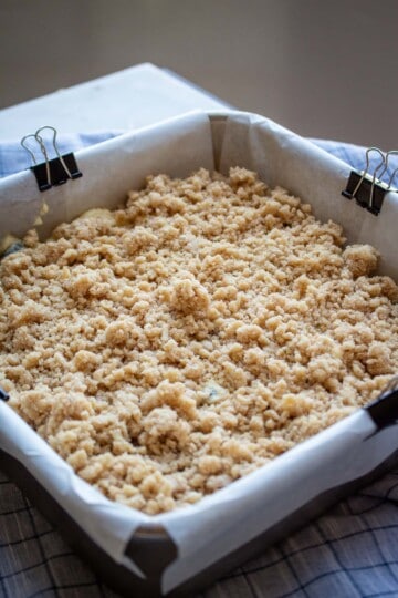 Blueberry Buckle Cake Recipe - Seanna's Kitchen