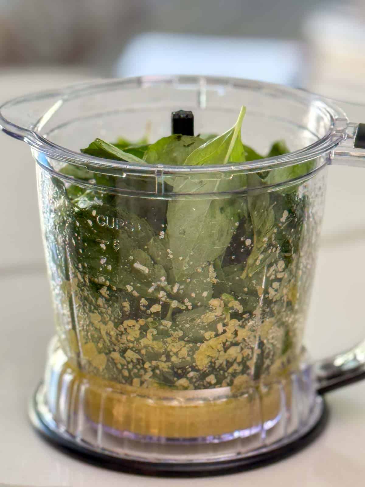 Fresh basil leaves added to pine nuts, garlic, Parmesan, and olive oil in a blender for homemade basil pesto.