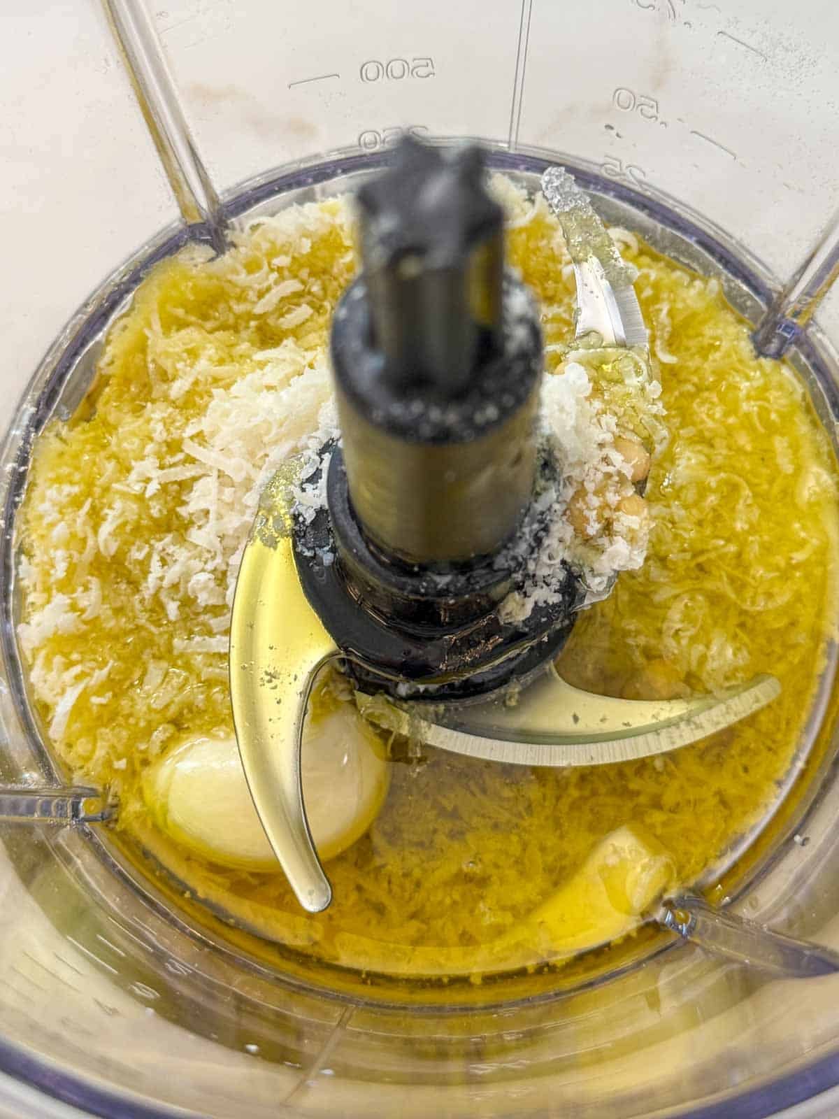 Food processor with pine nuts, garlic, Parmesan, and olive oil before blending.