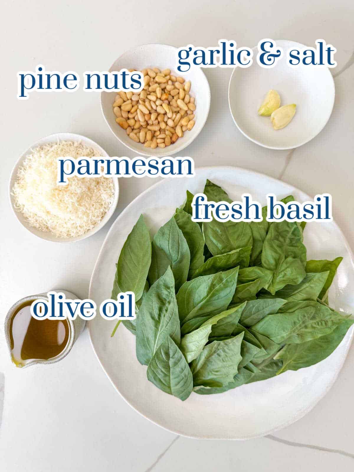 Individual ingredients for basil pesto recipe.
