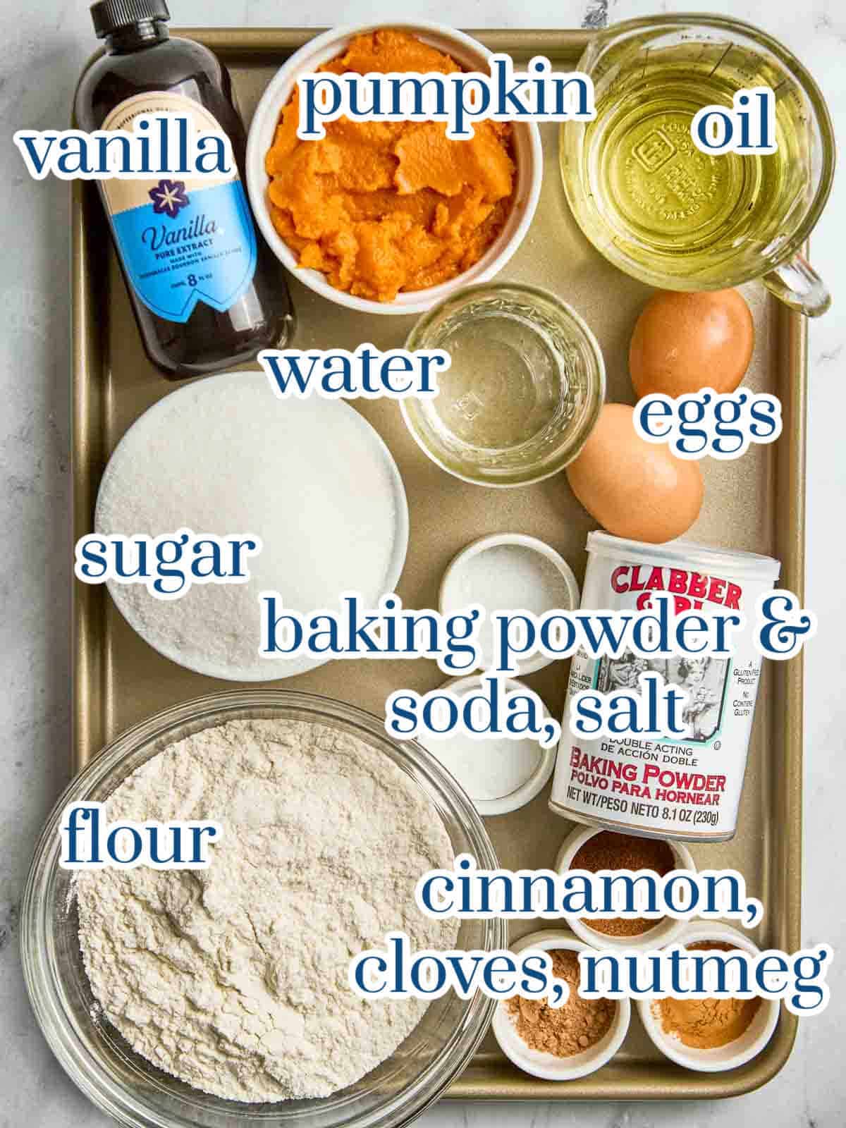 Individual ingredients for pumpkin bread recipe.