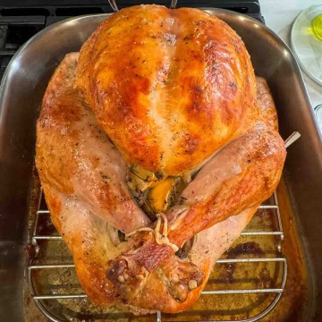 Whole roasted Thanksgiving turkey with golden skin.
