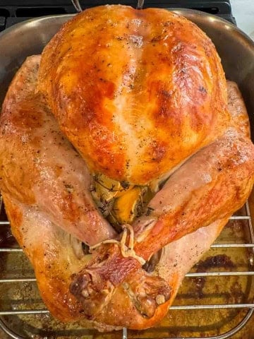 Whole roasted Thanksgiving turkey with golden skin.