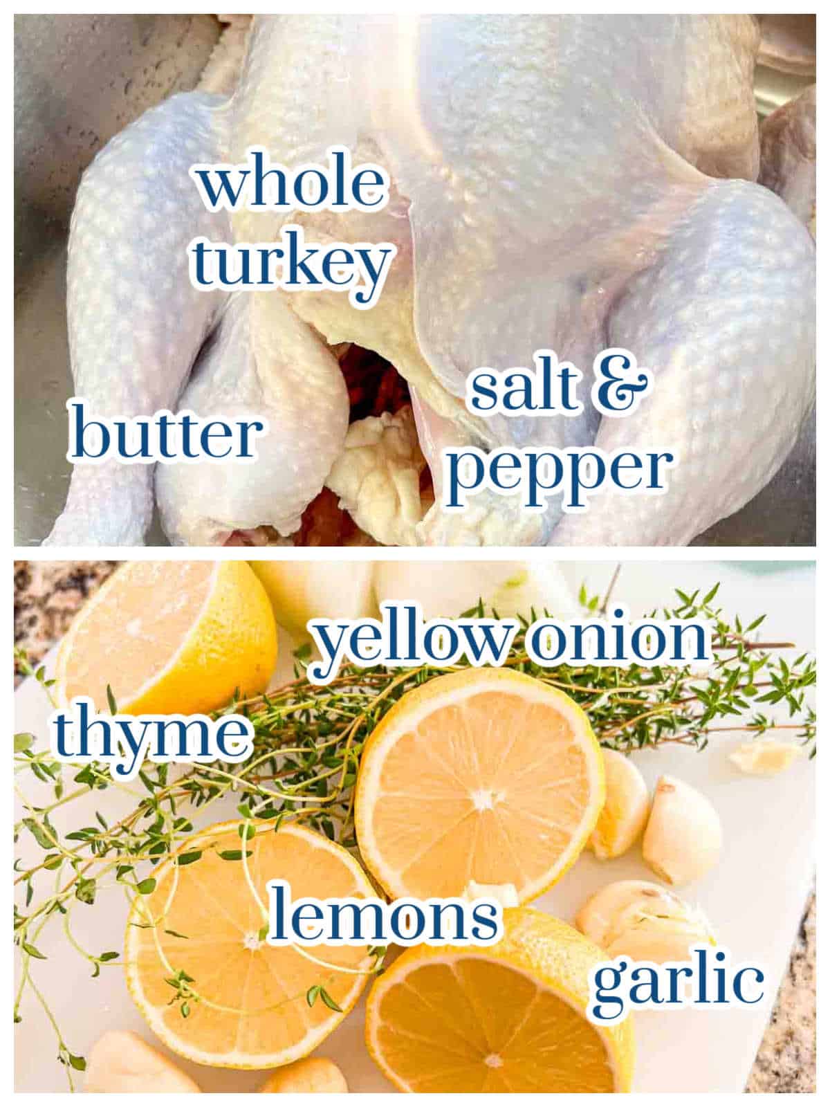Individual ingredients for the best Thanksgiving Turkey Recipe.