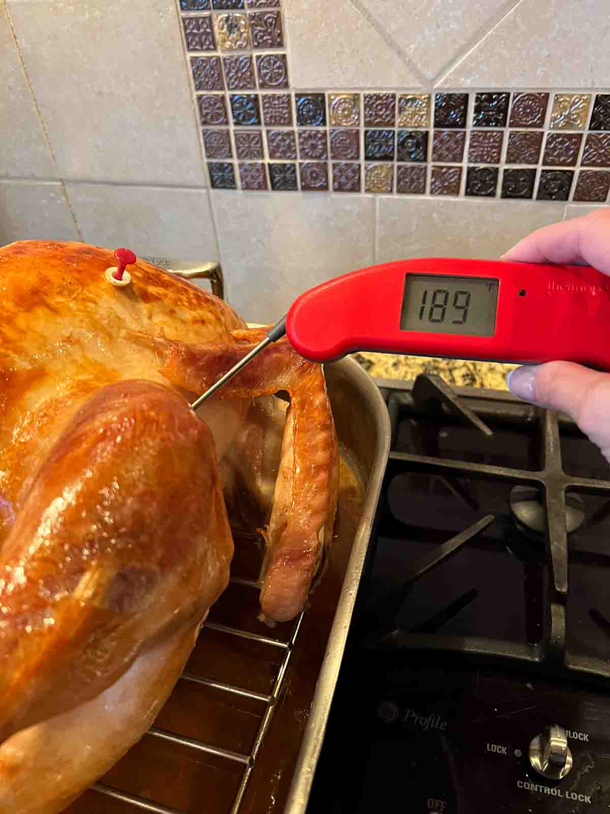 Checking the turkey's internal temperature with a meat thermometer.