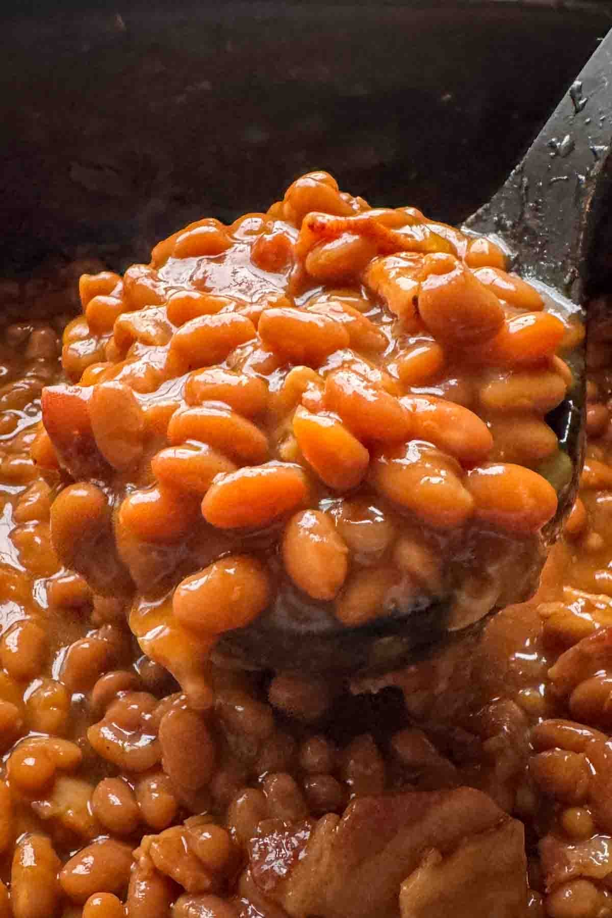 Homemade baked beans with bacon served from a spoon.